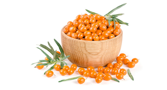 The berries of this amazing plant is not only full of antioxidants, but also have almost all the necessary amino acids and oils. Sea buckthorn is also a marvelous remedy for burns and frostbites. With this amazing oil skin regeneration is much faster. If 